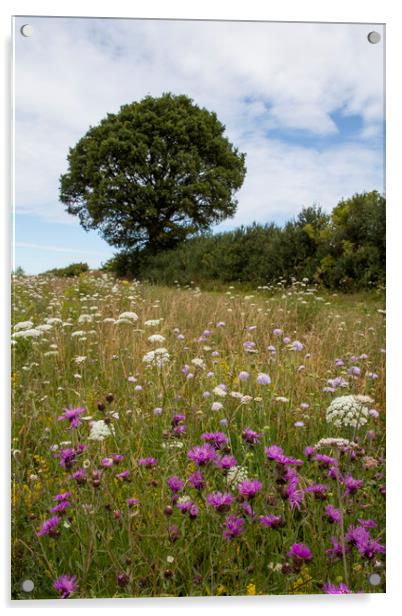 Wildflower Meadow Acrylic by Graham Custance