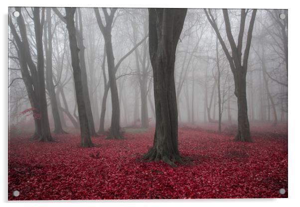 Autumn Woods Acrylic by Graham Custance