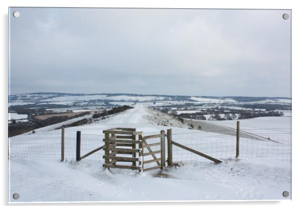 Chilterns in Winter Acrylic by Graham Custance
