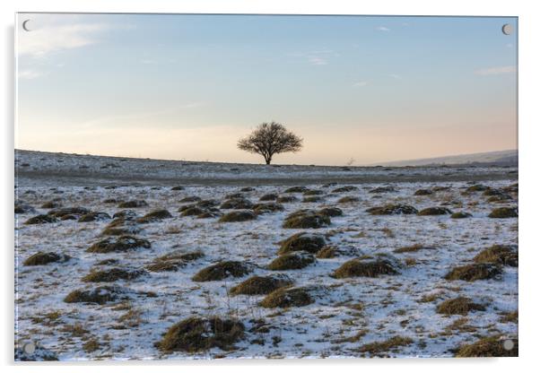 Lone Tree in Winter Acrylic by Graham Custance