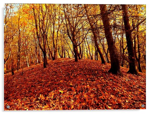 Autumnal Carpet Acrylic by Darren Whitehead
