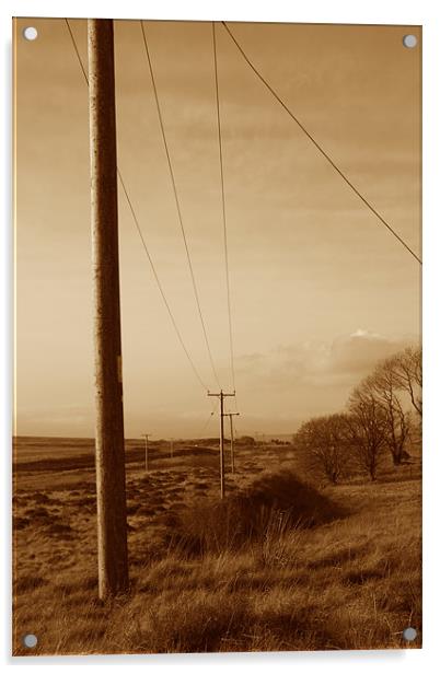 Western Look Electrical Poles Acrylic by Richie Fitzgerald