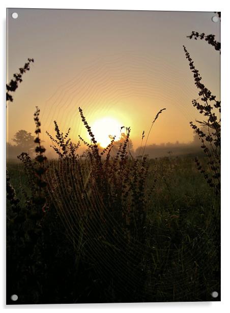 SPIDERS WEB IN THE SUNRISE Acrylic by mark graham