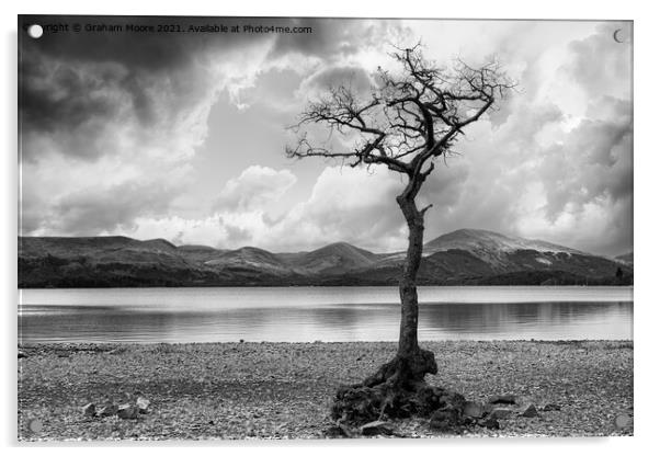 Milarrochy Bay Loch Lomond monochrome Acrylic by Graham Moore