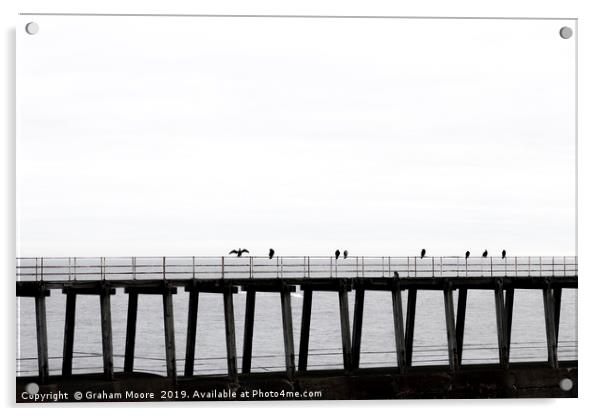 Seabirds on Whitby pier Acrylic by Graham Moore