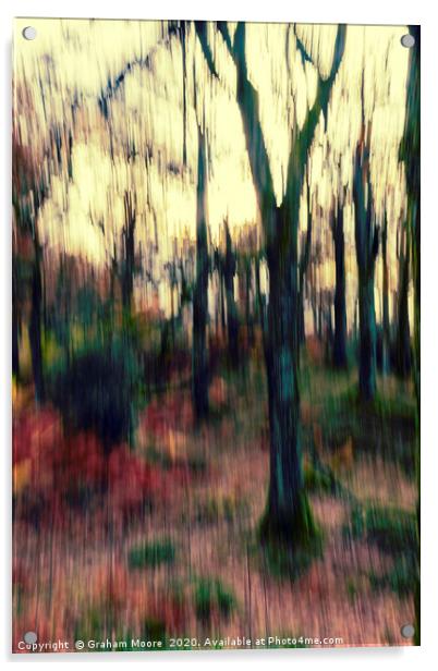 Motion blur trees abstract Acrylic by Graham Moore