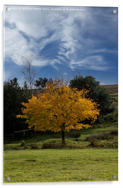 Autumn tree and wispy clouds Acrylic by Graham Moore