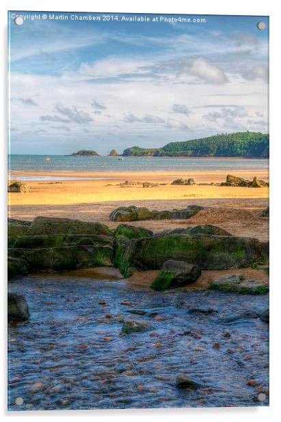 Stream at Coppet Hall, Saundersfoot Acrylic by Martin Chambers