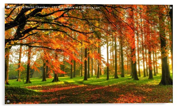 Autumn Scene Acrylic by Martin Chambers