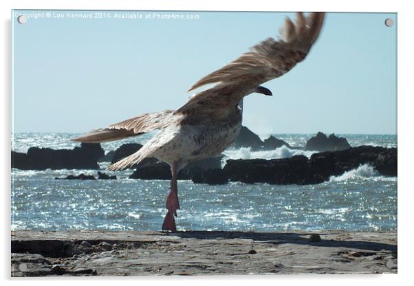 Take off Acrylic by Lou Kennard