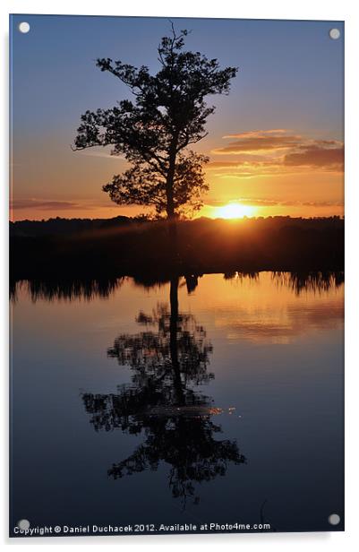 sunset and tree reflection Acrylic by Daniel Duchacek