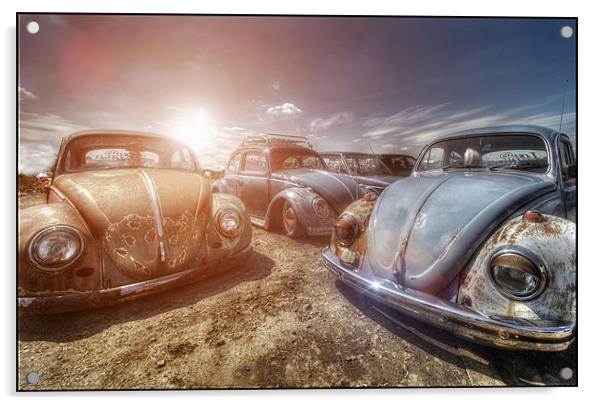 Bugs in the Sun Acrylic by Jason Green