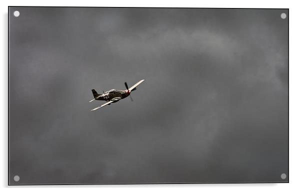 P51 Mustang Acrylic by Jason Green