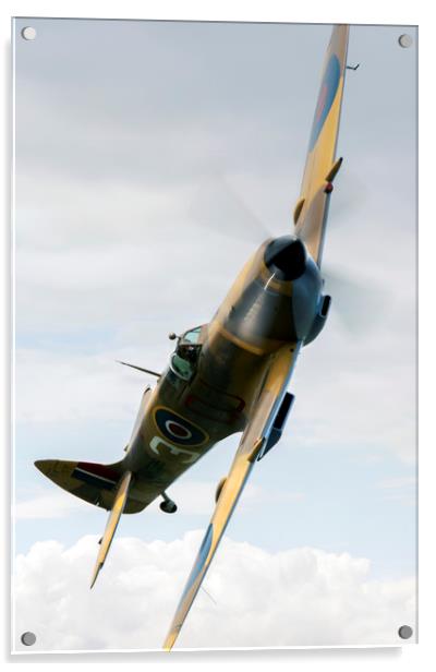BBMF Spitfire Acrylic by Jason Green