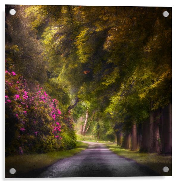 Woodland road. Acrylic by andrew bagley