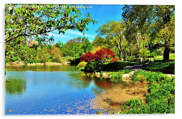  Central Park Acrylic by Laura Witherden