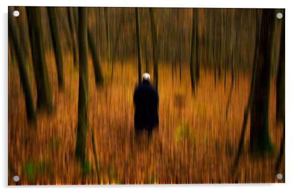 The Man in the Woods Acrylic by Abdul Kadir Audah