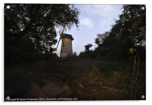 BIDSTON WINDMILL Acrylic by Shaun Dickinson