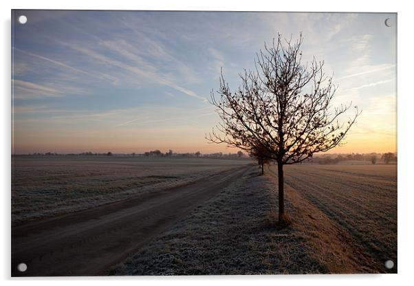 Winter daybreak Acrylic by Howie Marsh