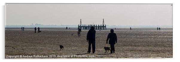 Walking the Dog Acrylic by Andrew Rotherham