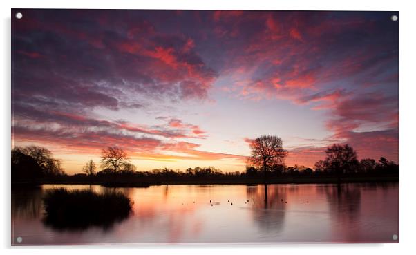 Sunrise lake Acrylic by Martin Patten