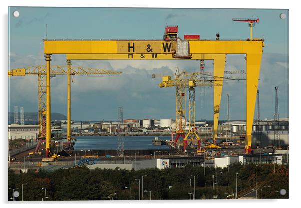 HARLAND AND WOLFF CRANES BELFAST Acrylic by Noel Sofley