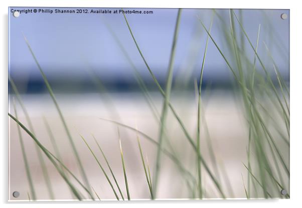 abstract beach grass sky 02 Acrylic by Phillip Shannon