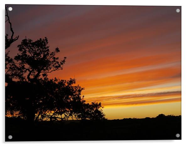 red sunset Acrylic by catrin jones