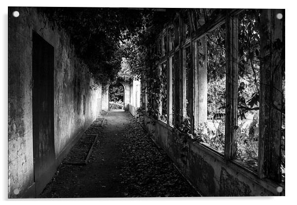 Corridor through the past Acrylic by Paul Madden