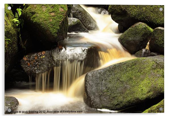 Padley Gorge, Derbyshire Acrylic by RSRD Images 