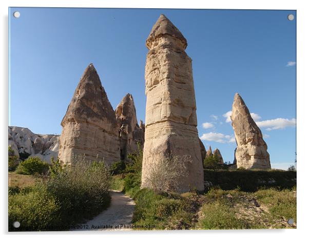 Rock pillars in Capadoccia Acrylic by Malcolm Snook