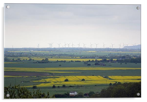 wind farm Acrylic by Martyn Bennett