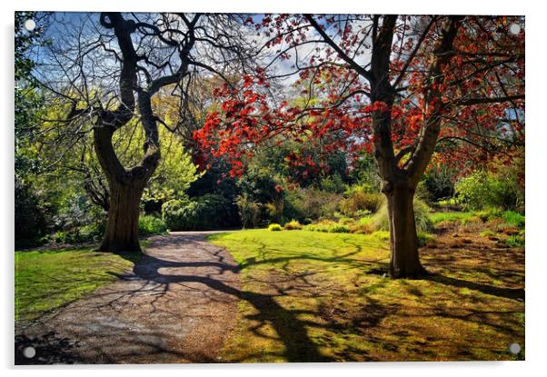 Sheffield Botanical Gardens  Acrylic by Darren Galpin
