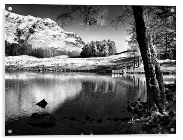 The Banks of Blea Tarn     Acrylic by Darren Galpin