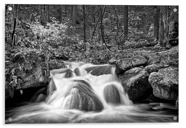 Wyming Brook in Mono Acrylic by Darren Galpin