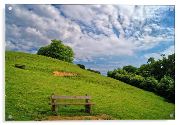 Wyndham Hill view Yeovil Acrylic by Darren Galpin