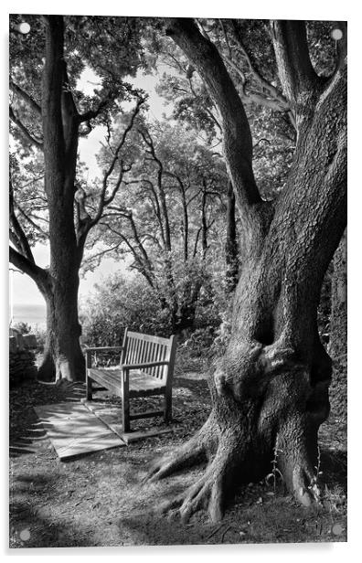 Bench with a View, Durlston Bay near Swanage Acrylic by Darren Galpin