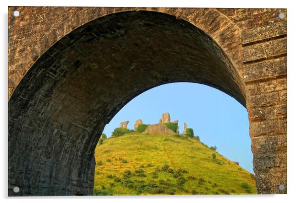 Corfe Castle & Railway Arch Acrylic by Darren Galpin