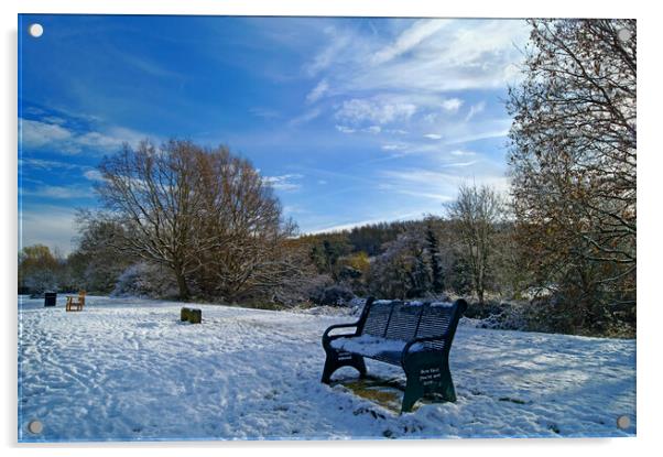 Dearne Valley Park in Winter Acrylic by Darren Galpin