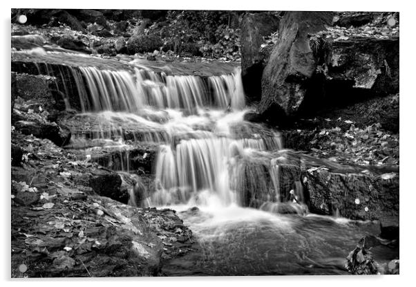 Lumsdale Falls Acrylic by Darren Galpin