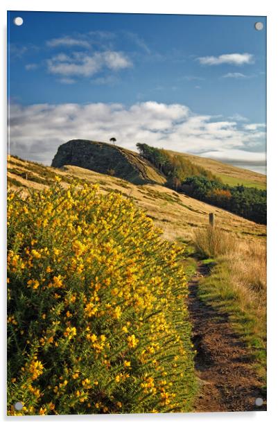 Footpath to Back Tor Derbyshire Peak District  Acrylic by Darren Galpin
