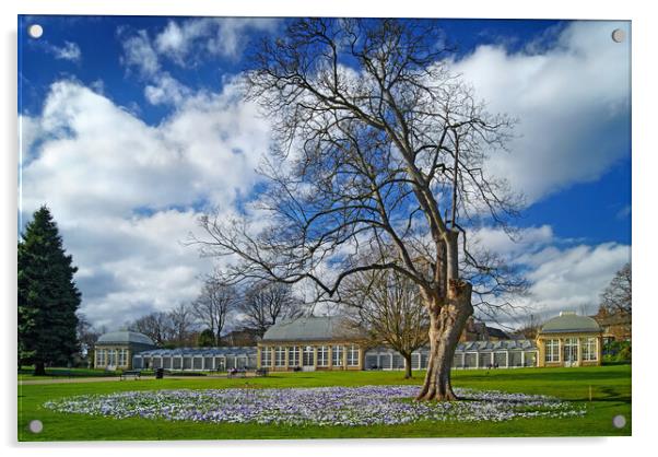 Sheffield Botanical Gardens in Spring   Acrylic by Darren Galpin