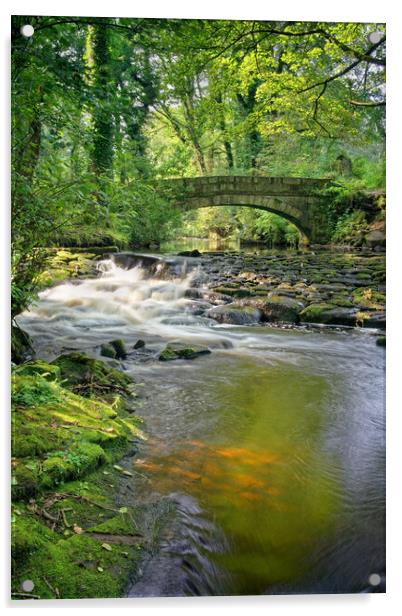 Rivelin Packhorse Bridge & Weir  Acrylic by Darren Galpin