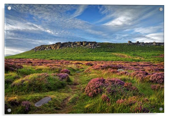 Higger Tor Heather Acrylic by Darren Galpin