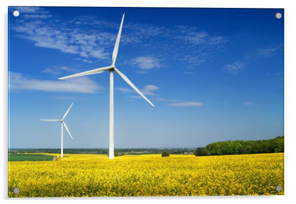 Marr Wind Farm and Rapeseed Acrylic by Darren Galpin