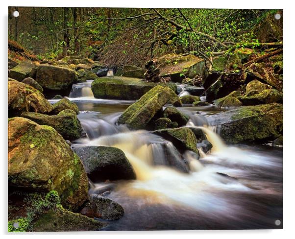 Padley Gorge Acrylic by Darren Galpin