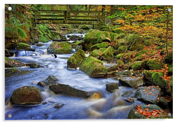 Padley Gorge Acrylic by Darren Galpin