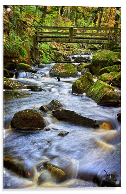 Padley Gorge Acrylic by Darren Galpin