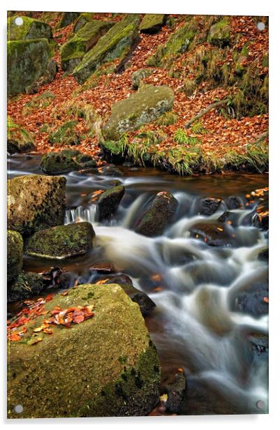 Padley Gorge Waterfall  Acrylic by Darren Galpin