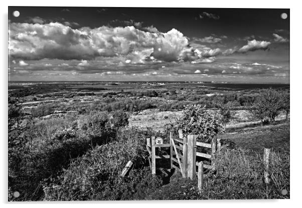 View across Studland and Godlington Heath   Acrylic by Darren Galpin